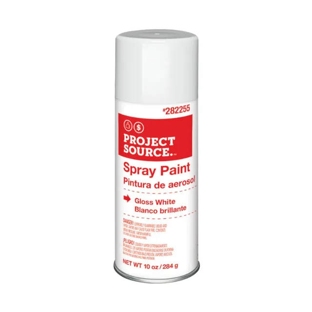 Project Source: Gloss White Economy Spray Paint (10 OZ Aerosol)